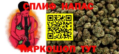 гашик Канаш