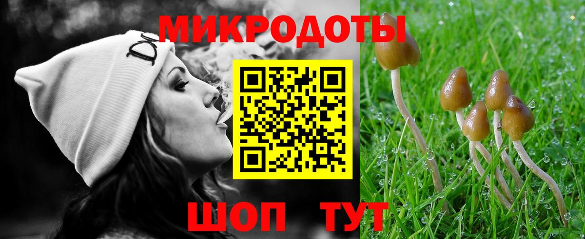 Псилоцибиновые грибы Psilocybe  Галлюциногенные грибы MAGIC MUSHROOMS  Мариинск 